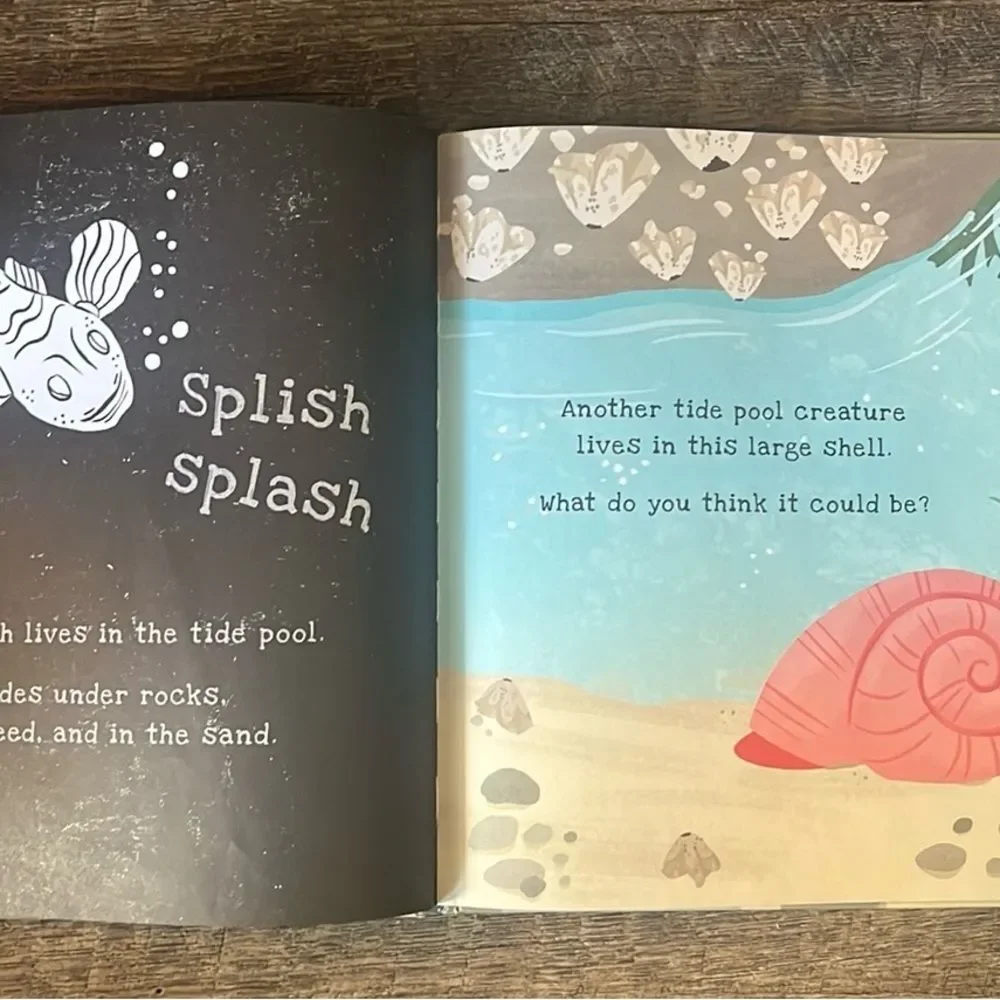 Usborne Secrets of the Seashore Shine-A-Light Kids Ocean Hardcover Book